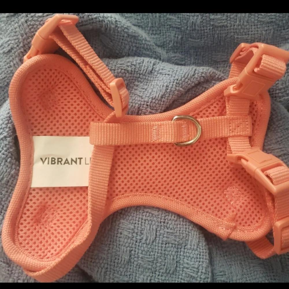 Vibrant Life Cat Harnesses Leash